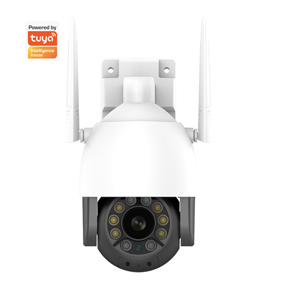 Akıllı Ev Güvenlik Kamerası Dış Mekan Whalecam 1080P Wi-Fi, Pan / Tilt Hareket Algılama Wifi Kameralı