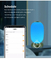 Akıllı Fener Masa Lambası Dekoratif Tuya APP Alexa Google Akıllı WiFi LED Işık
