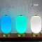 Akıllı Fener Masa Lambası Dekoratif Tuya APP Alexa Google Akıllı WiFi LED Işık