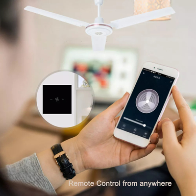 Tuya Akıllı Wifi Fan Anahtarı AB Standardı Cam Dokunmatik Duvar Kablosuz Uzaktan Kumanda