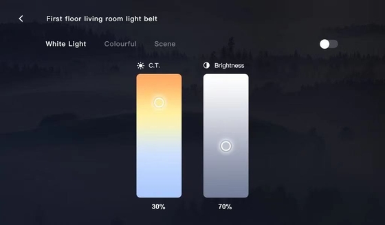 Çok İşlevli Akıllı Ev Paneli Müzik Sahnesi Dokunmatik Ekran Tuya Zigbee Ağ Geçidi 7 Inç