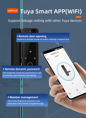 Glomarket Tuya Akıllı 3d Yüz Tanıma Wifi Cam Kapı Kilit Parmak izi Kartı Parola Elektronik Cam Kapı Kilit Ofis için