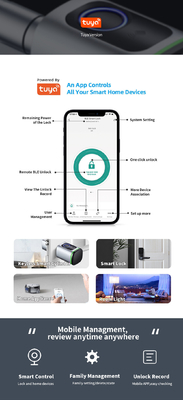 Glomarket Ev Akıllı Kapı Kilitli Ttlock Akıllı Parmak izi Kartı Anahtar Kilit Açma Düzenlenebilir Silindir Euro Akıllı Kilitli Tuya Uygulama Kapı Kilitli