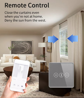 Akıllı Perde Değiştiricisi WiFi/Zigbee Ses Kontrolü Google Asistan Akıllı AB Standart Dokunmatik Ekran Değiştiricisi APP Garaj Kapısı Değiştiricisi
