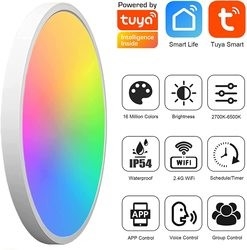 24w Tuya Akıllı Tavan Lambası Renkli Rgb Uzaktan Kumanda Led Modern Müzik